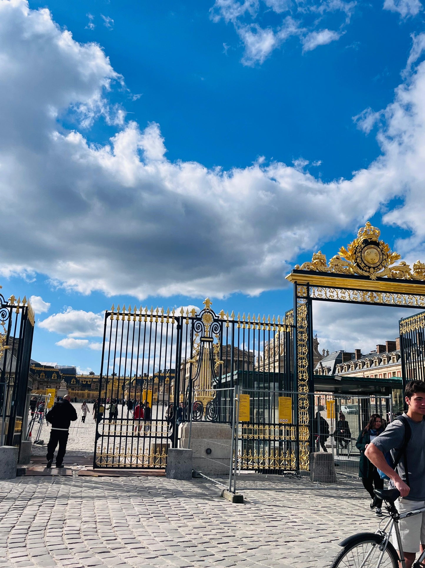 Visita al Palacio de Versalles con traslado desde París
